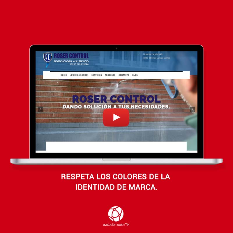 diseño-web-profesional-paginas-web-profesionales-mexico-paginas-web-profesionales-evolucion-web-mx-diseño web