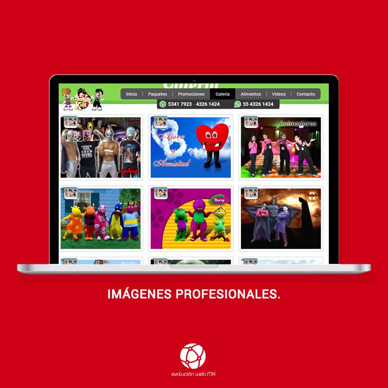 diseño-web-profesional-paginas-web-profesionales-mexico-paginas-web-profesionales-paginas-we-profesionales-diseño-web-df-evolucion-web-mx-diseño web